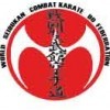 بزرگترین پیکارهای کامبت کاراته